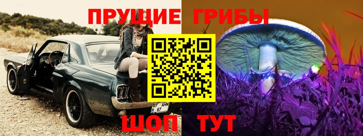 Галлюциногенные грибы GOLDEN TEACHER  Вход с VPN  Электрогорск 